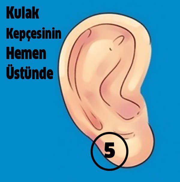 Hastalıkları Kulağınızdaki 6 Noktadan Tedavi Etmek Mümkün - 6