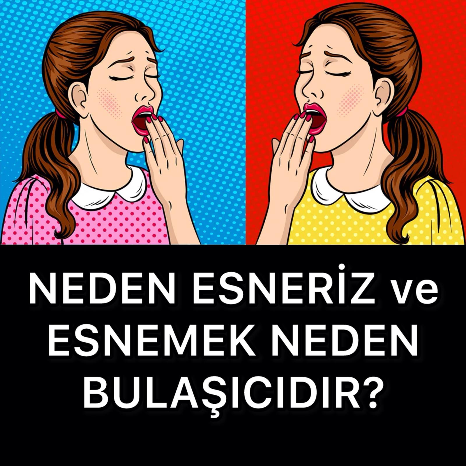 Neden Esneriz ve Esnemek Neden Bulaşıcıdır? - 1
