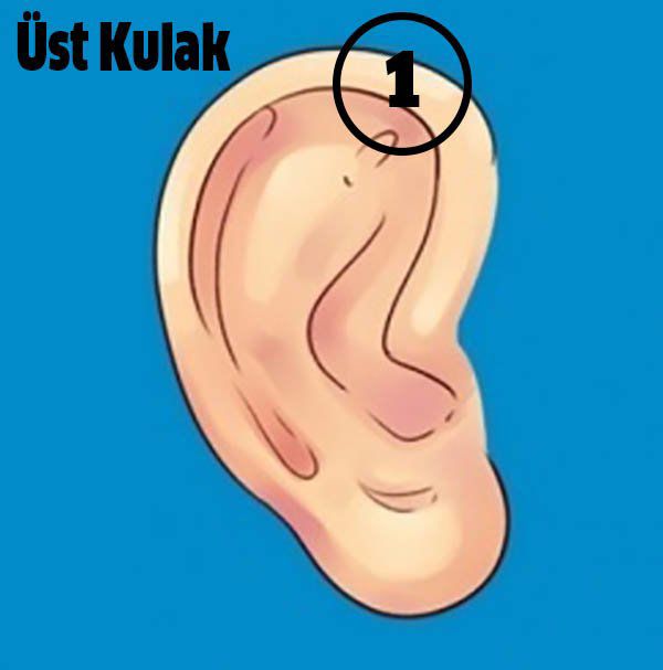 Hastalıkları Kulağınızdaki 6 Noktadan Tedavi Etmek Mümkün - 2