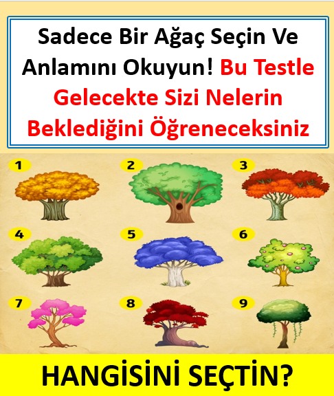 Bu test kendi adınıza yeni şeyler keşfetmenizi sağlayacak - 2