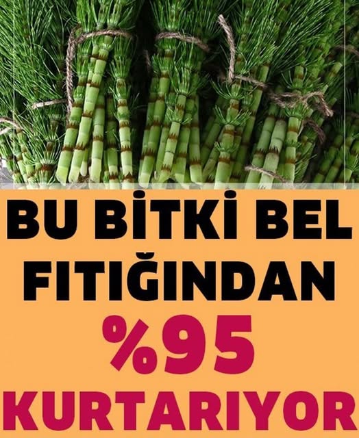 Tamamen Doğal Ürünlerle Bel Fıtığından Kurtulun - 2