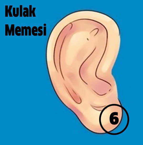 Hastalıkları Kulağınızdaki 6 Noktadan Tedavi Etmek Mümkün - 7