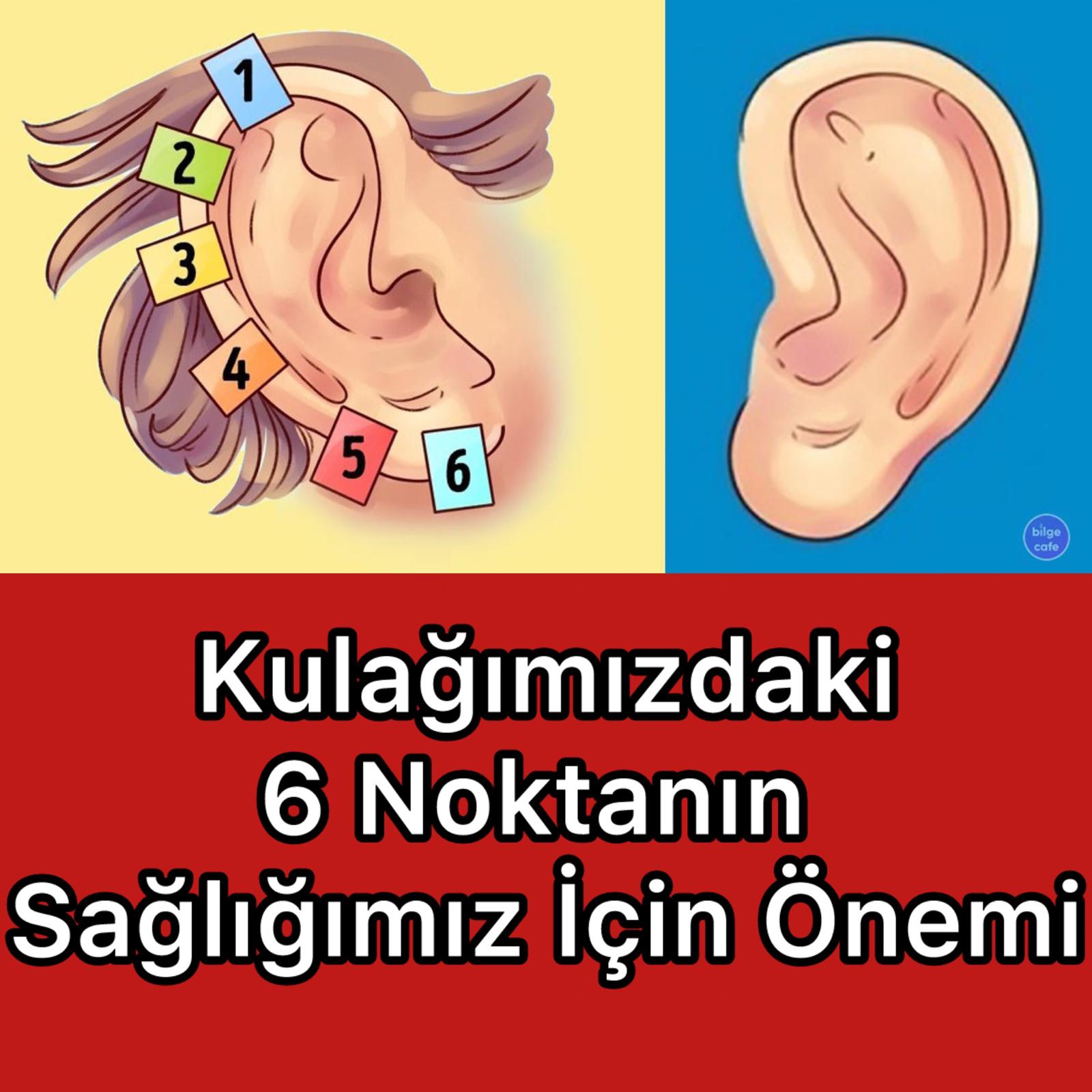 Hastalıkları Kulağınızdaki 6 Noktadan Tedavi Etmek Mümkün - 1