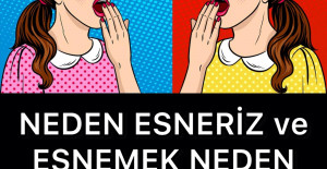 Neden Esneriz ve Esnemek Neden Bulaşıcıdır?