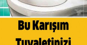 Bu Karışımı Tuvaletinizi Tertemiz Yapacak 