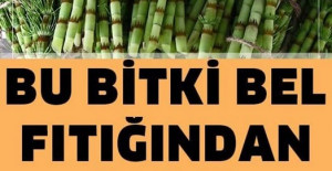Tamamen Doğal Ürünlerle Bel Fıtığından Kurtulun