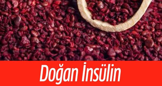 Şeker Hastalığının Çaresi Onda 