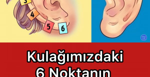 Hastalıkları Kulağınızdaki 6 Noktadan Tedavi Etmek Mümkün