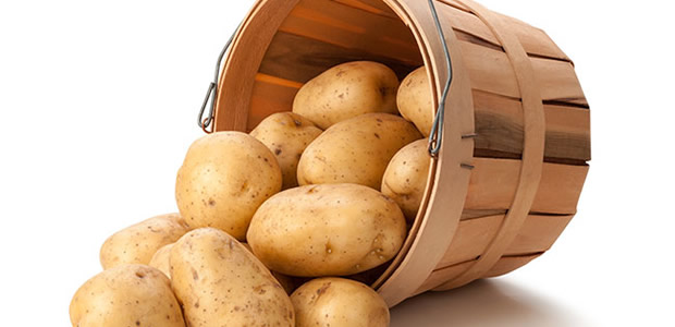 Mantarlı Patates Yuvası Tarifi - 3