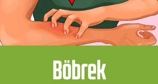 Böbrek Sorunlarının Erken Belirtileri 