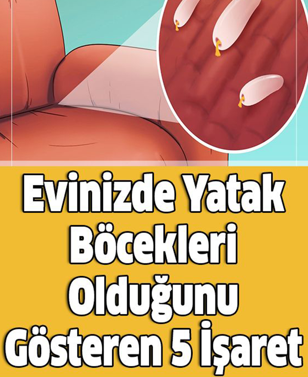 Evinizde Yatak Böcekleri Olduğunu Gösteren 5 İşaret