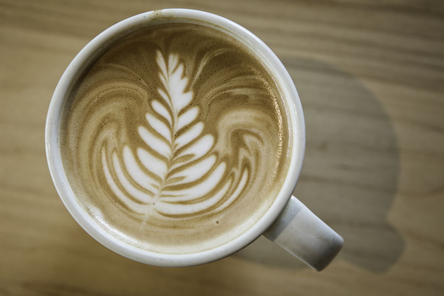 Latte Tarifi - 6